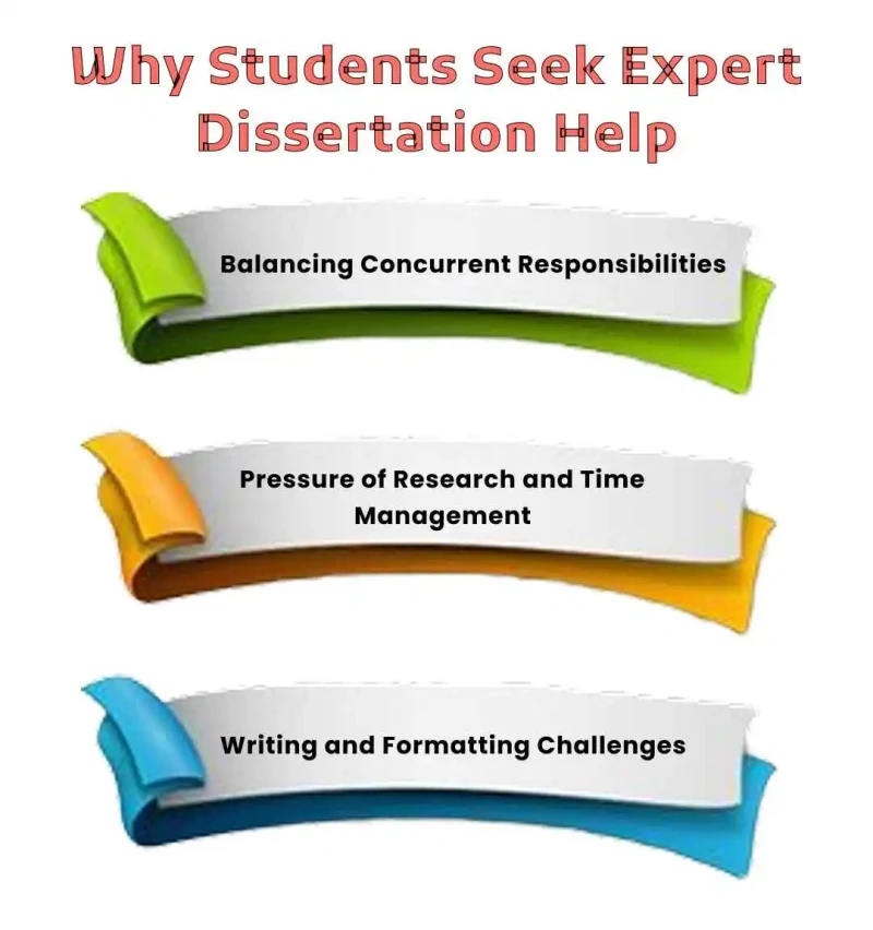 why students seek expert dissertation help