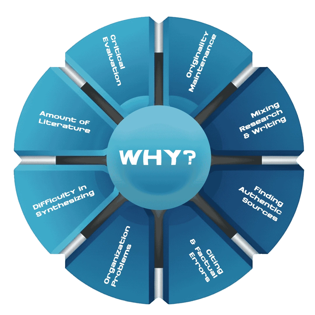 professional-literature-review-writing-service